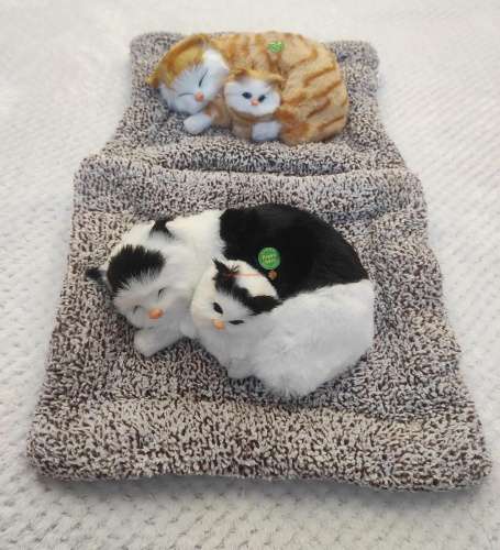 "Кошка с котенком" во Янауле
